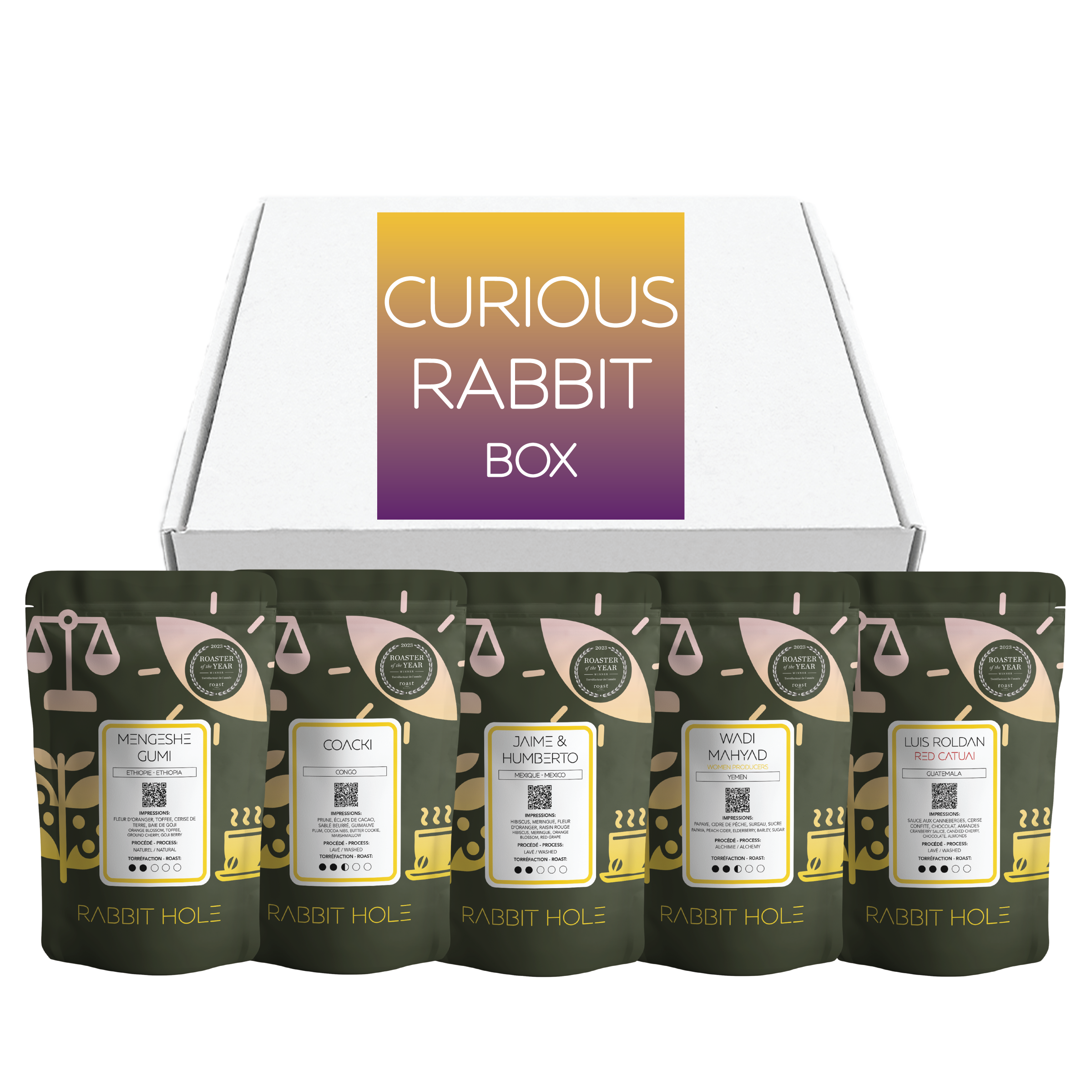 The Curious Rabbit Box specialty coffee tasting gift set by Rabbit Hole Roasters. A white branded product box displayed with five dark green 100g coffee bags featuring white labels and gold accents.